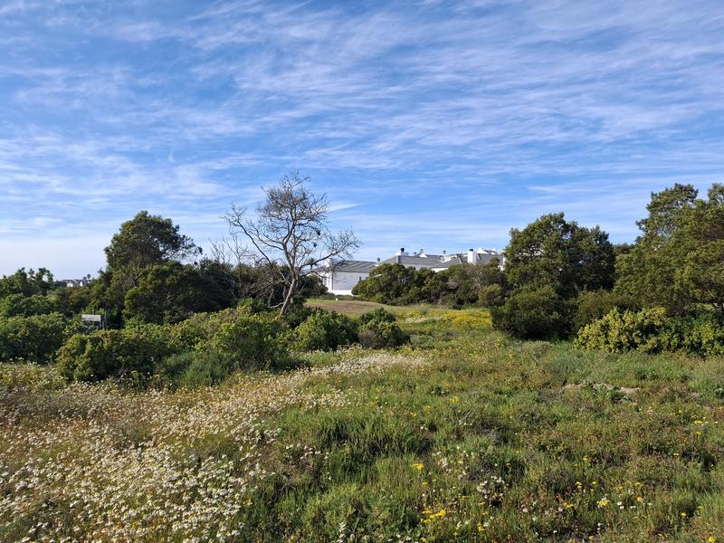 0 Bedroom Property for Sale in Shelley Point Western Cape